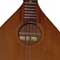 bouzouki picture